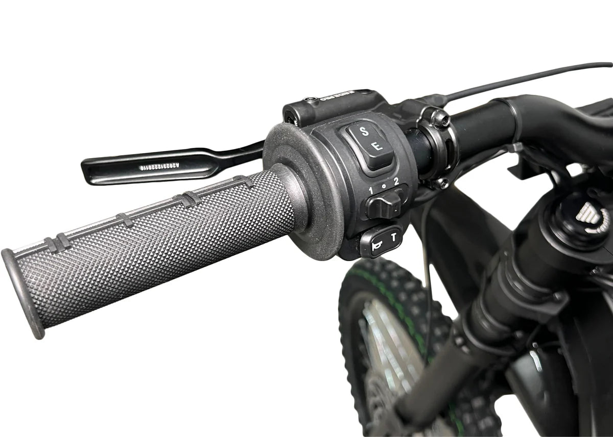 E RIDE PRO-SS (19″) 72V