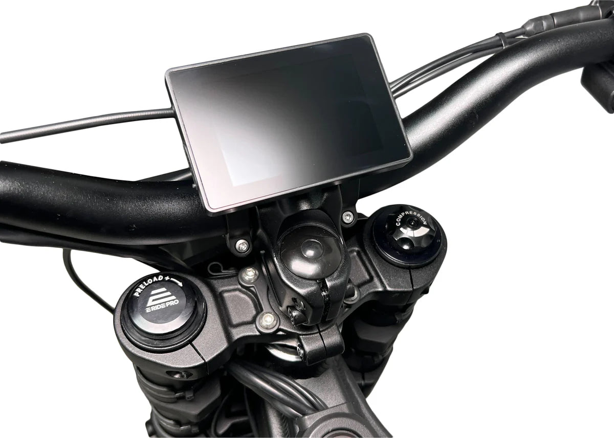 E RIDE PRO-SS (19″) 72V